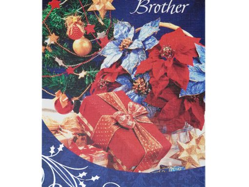 Santa Claus with Toy Sack – Brother