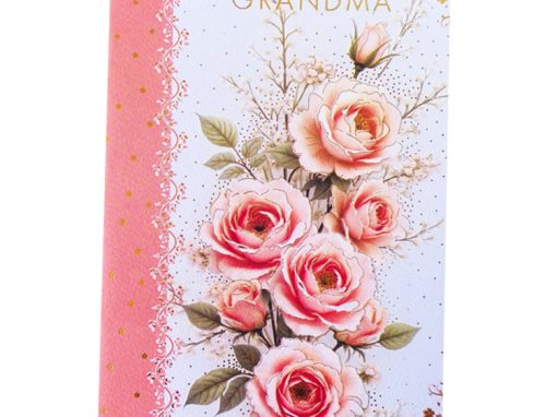 PC GM ORANGE ROSES