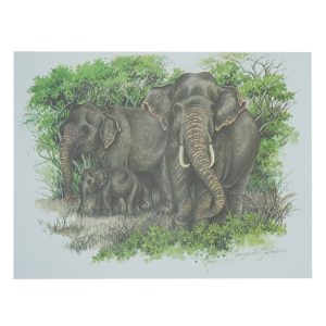 02 CAD BL - Sri Lankan Elephants in the Wild Painting