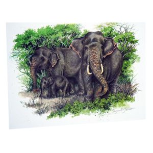 02 CAD SG Elephant Trio, Thun Path Rena