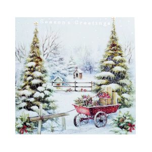 13 CBE SG - Winter Christmas