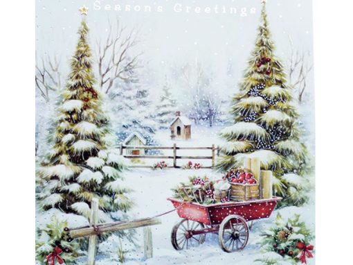 13 CBE SG – Winter Christmas