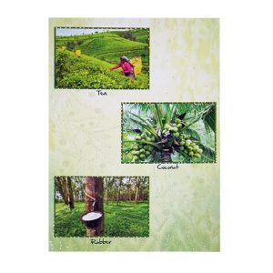 20 CB0 BL -Sri Lanka's Three Major Plantation Crops
