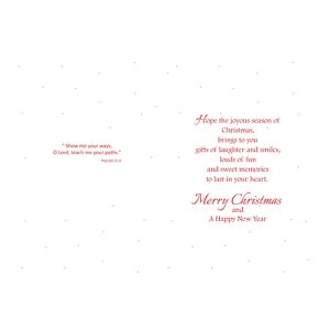 Santa Sleigh and Snow-Covered